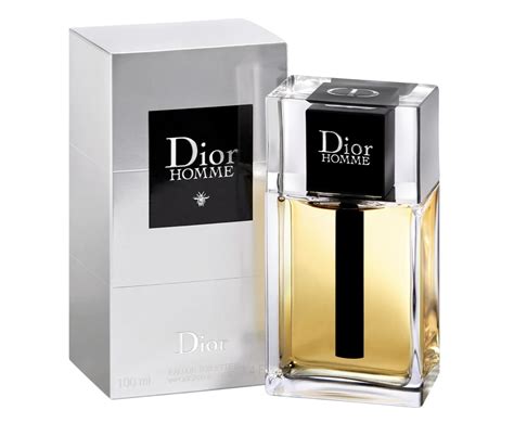 dior himme|Dior Homme 2020 review.